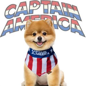 Bandana Para Cachorro Capitão América Presente Criativo Geek