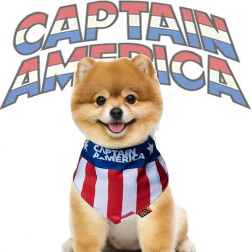 Bandana Para Cachorro Capitão América Presente Criativo Geek 2 Bandana Para Cachorro Capitão América Presente Criativo Geek