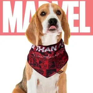 Bandana Para Cachorro Marvel Presente Criativo Geek nerd