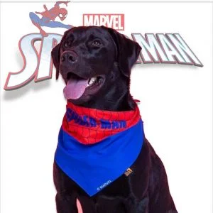 Bandana Para Cachorro Spiderman Presente Criativo pet Geek nerd