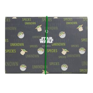 pasta-sanfonada-carteira-baby-yoda-3473_4