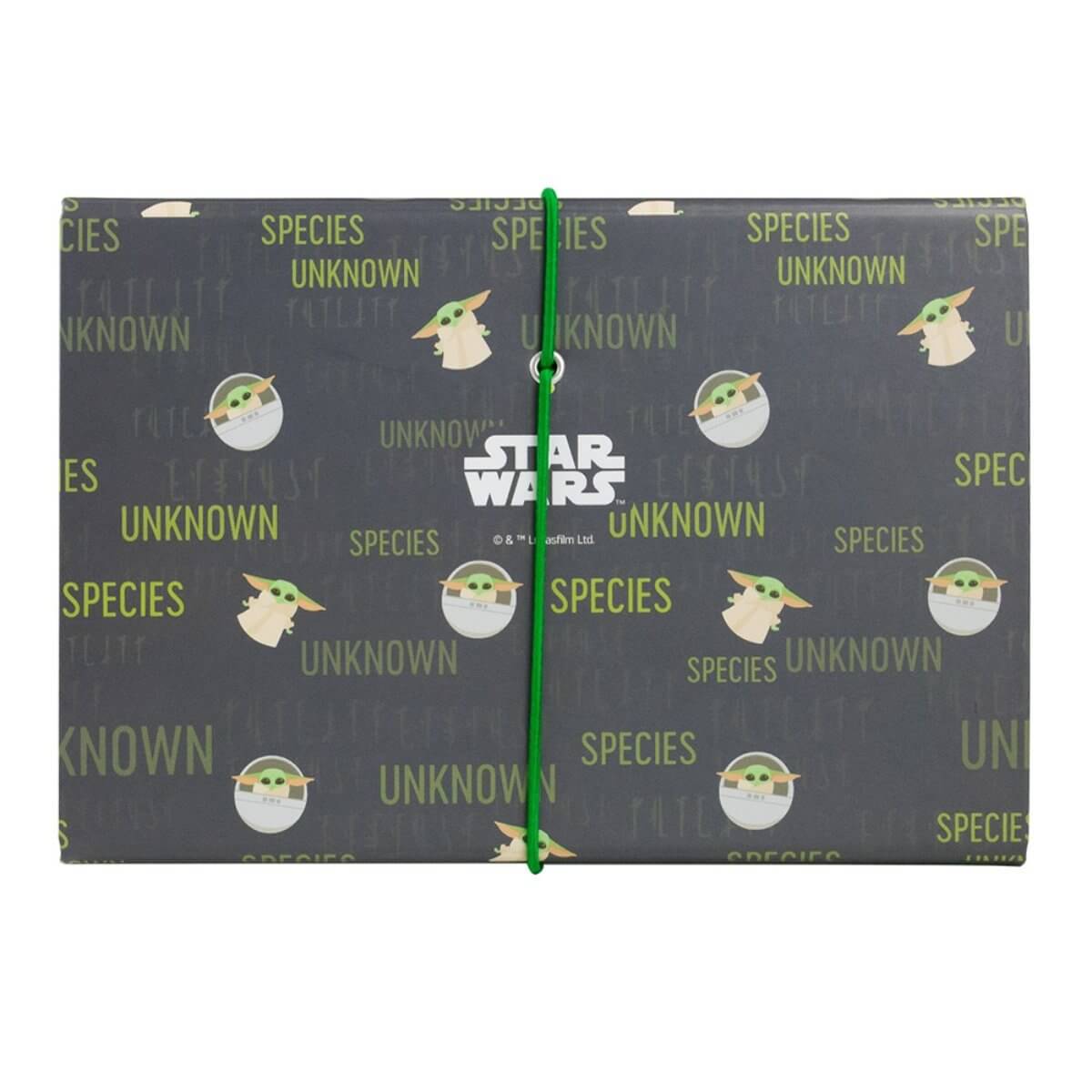 pasta-sanfonada-carteira-baby-yoda-3473_4
